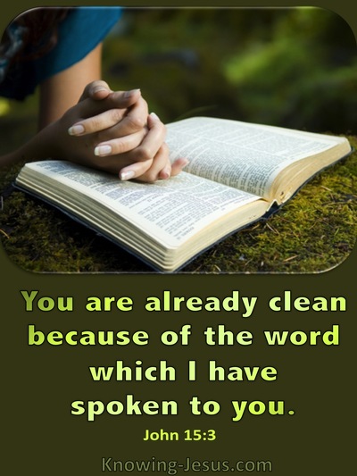 John 15:3 You Are Clean Because Of The Word (green)
